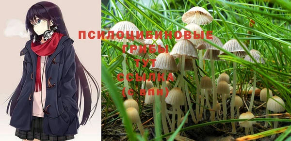 стаф Беломорск