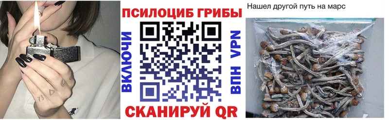 Купить где  Елабуга  Псилоцибиновые грибы GOLDEN TEACHER 
